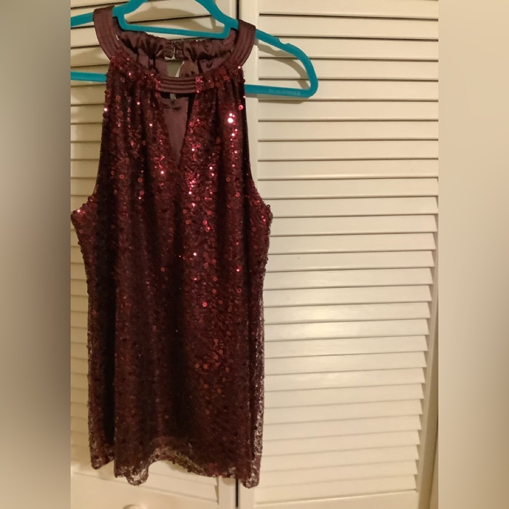 Sparkly Sequin sleeves top